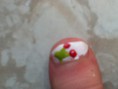 /album/fotogallerij/nagelkers1-jpg/